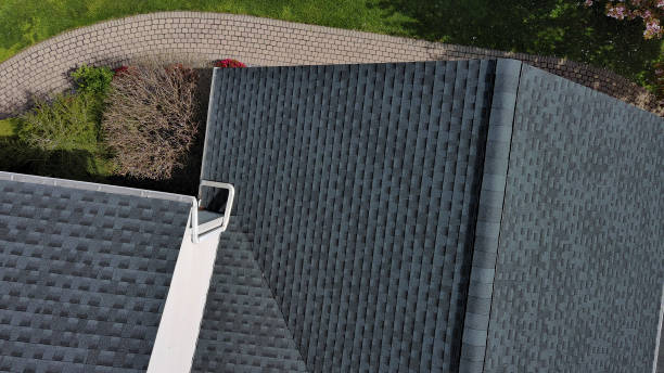 Best Roof Insulation Installation  in Morton, PA