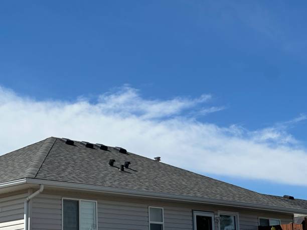 Best Emergency Roof Repair Services  in Morton, PA